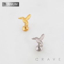 3D HUMMINGBIRD TOP THREADLESS PUSH IN ASTM F136 IMPLANT GRADE TITANIUM LABRET SET